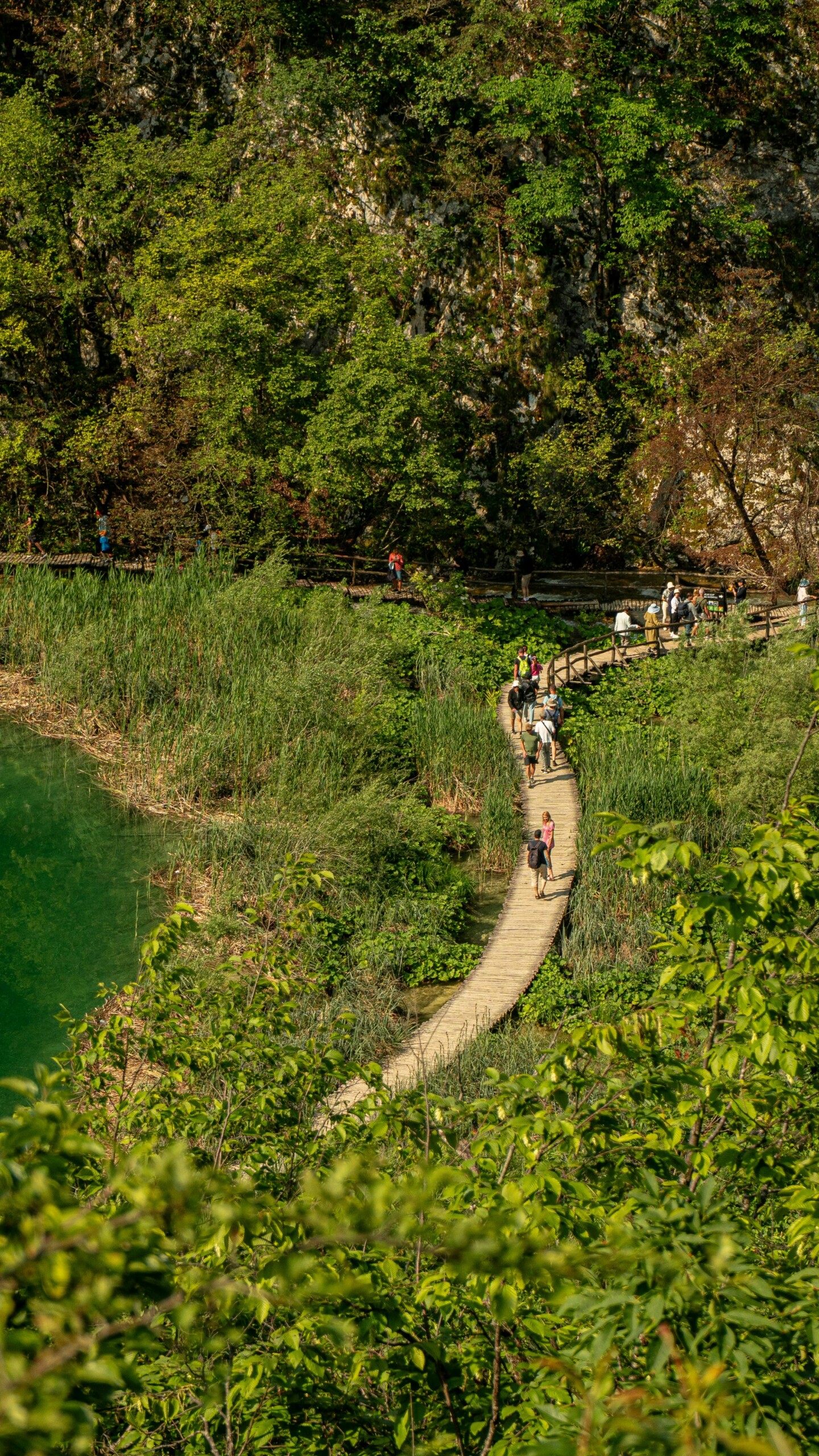 🌲 Nationalpark Plitvicer Seen: Wandern im Naturparadies Kroatiens